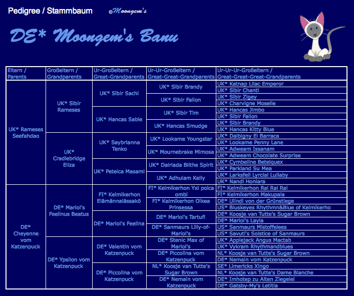 Stammbaum Moongem's Banu