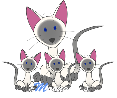 Moongem's Kitten